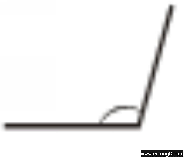 ˽̰Сѧѧ꼶²ĩ -  -     